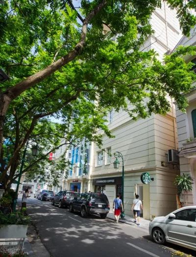 Conifer Boutique Hotel – 照片 7